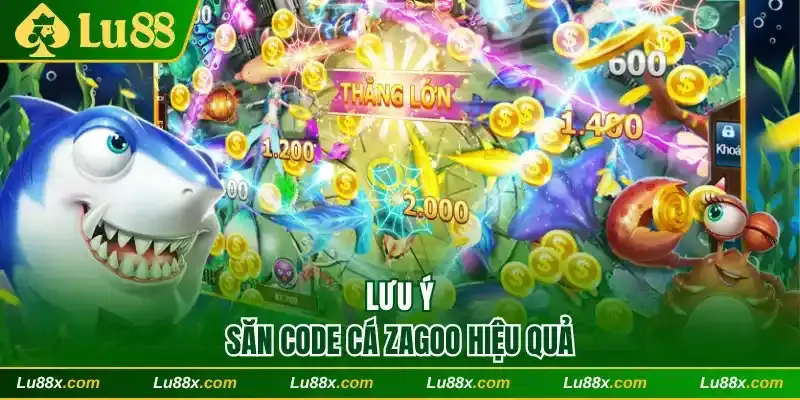 Lưu ý săn code cá Zagoo hiệu quả